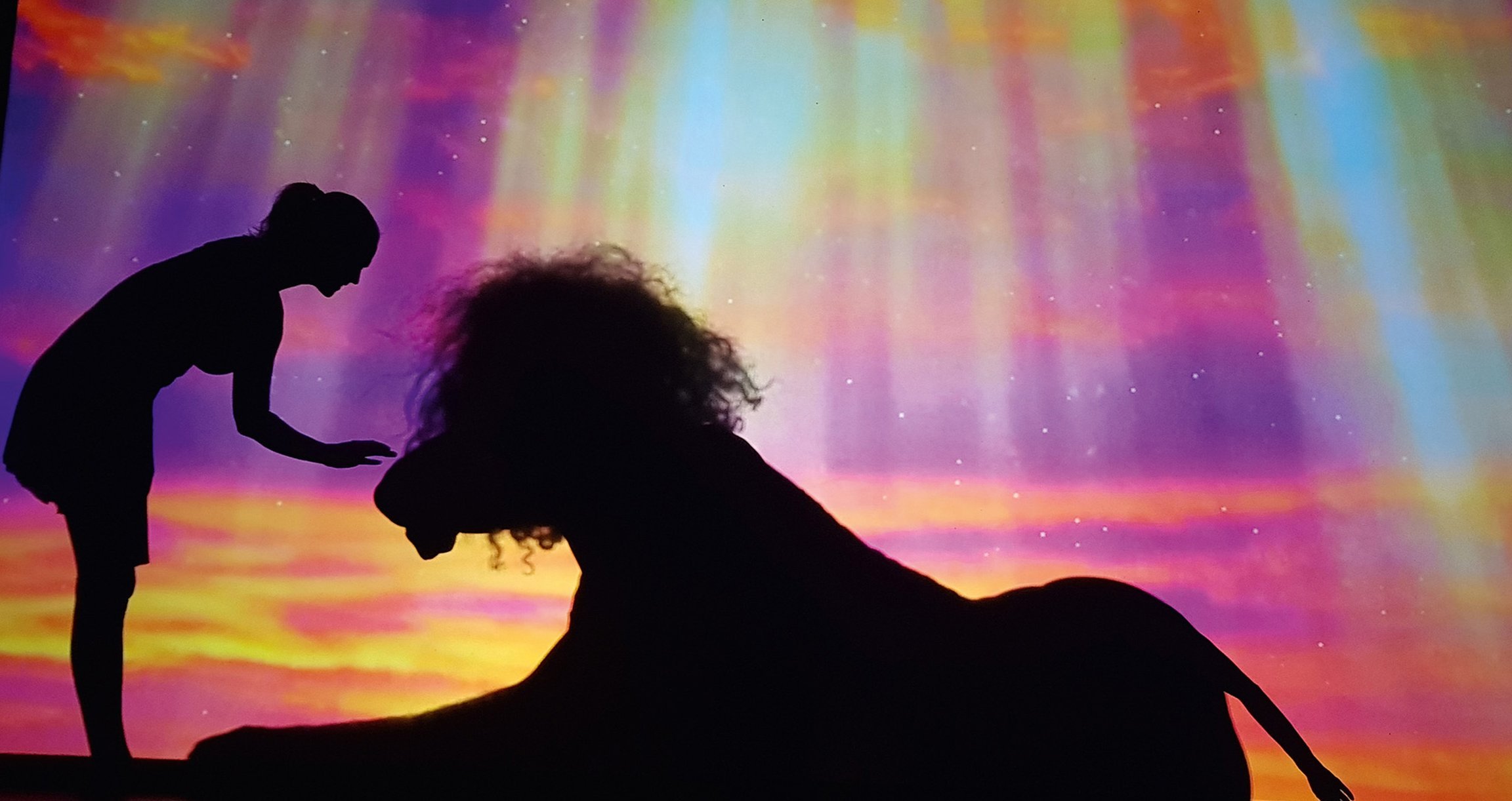 Bild mit rzer Silhouette von Löwe und Frau mit buntem Hintergrund