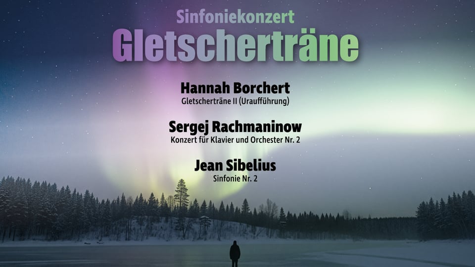 Das Veranstaltungsplakat mit den Namen des Events und der Künstler, im Hintergrund eine Naturlandschaft mit Nordlichtern