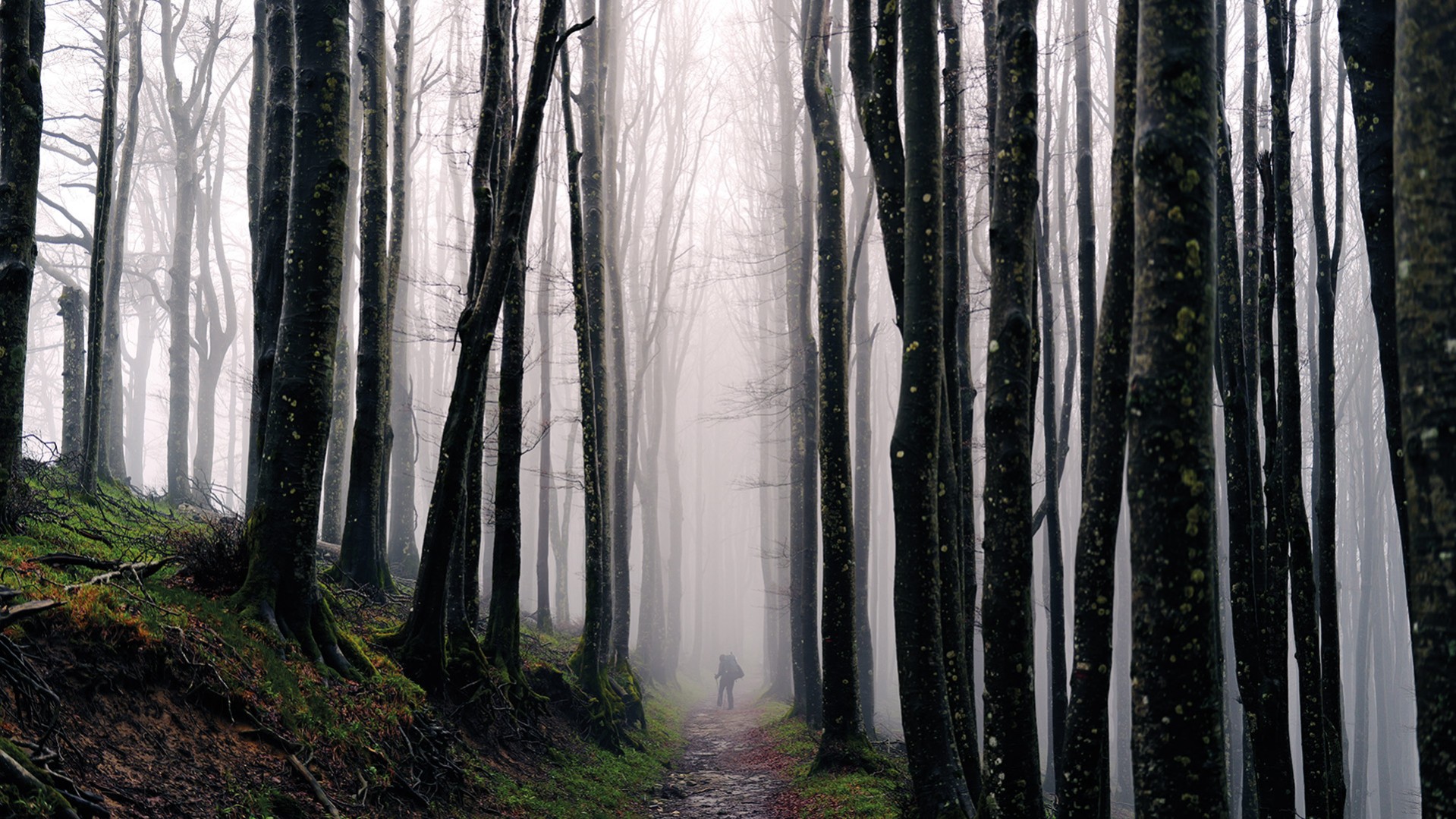 Hoch und Heilig - Pilgern in den Alpen