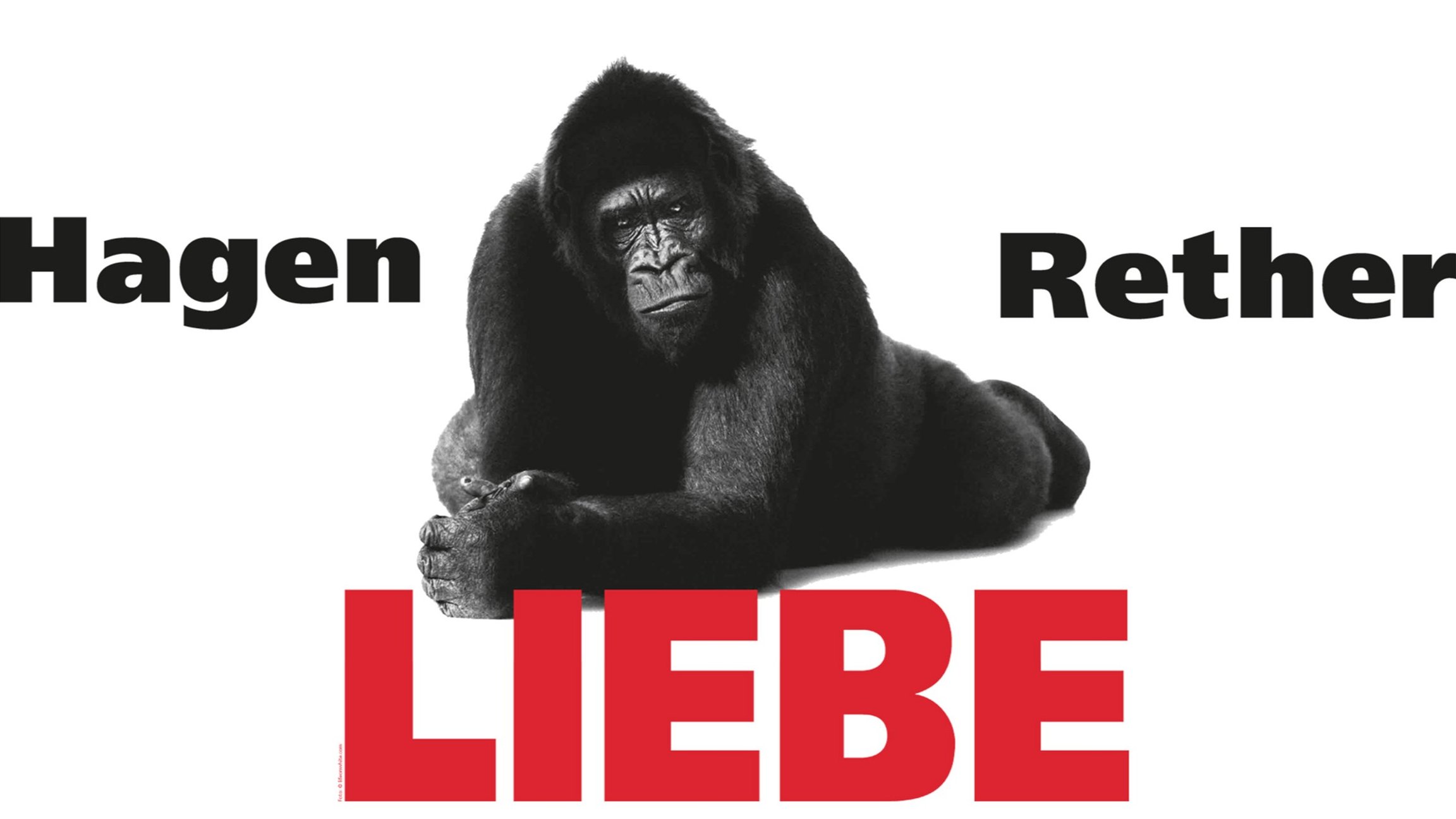Weißes Plakat mit Bild eines Gorillas und Aufschrift