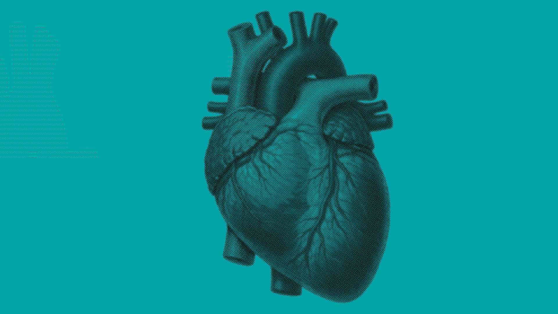 Grafische Darstellung eines anatomischen Herzens auf türkisfarbenem Hintergrund, Motiv zum Theaterstück „Der Herzerlfresser“.