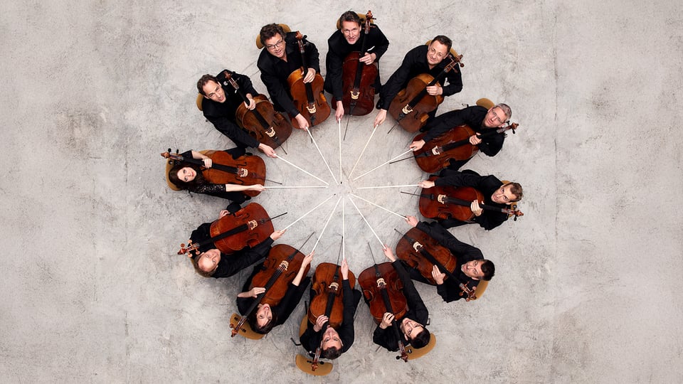 Promobild für das Event ‚Die 12 Cellisten der Berliner Philharmoniker‘: Zwölf Personen sitzen in einem Kreis auf Stühlen, halten jeweils ein Cello und richten die Bögen zur Mitte hin aus. Die Aufnahme zeigt die Gruppe aus der Vogelperspektive auf hellem Boden