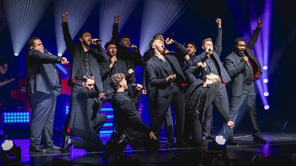 Zwölf Darsteller der 12 Tenors in dunklen Anzügen posieren auf einer Bühne in violett-blauem Licht
