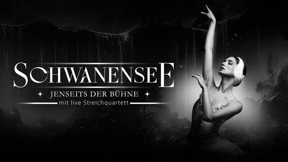 Grafik mit der Aufschrift Schwanensee und einer Ballettänzerin, die in schwarz-weiß posiert.