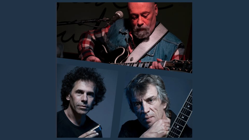 Collage mit drei Musikern. Oben spielt eine Person mit Bart E Gitarre an einem Mikrofon, darunter sind zwei Porträts zu sehen, eine Person mit Mundharmonika und eine weitere Person mit Akustikgitarre vor dunklem Hintergrund.