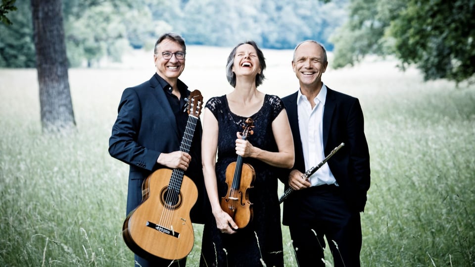 Eine Dame und zwei Herren in dunkler Kleidung mit Instrumenten auf einer Wiese