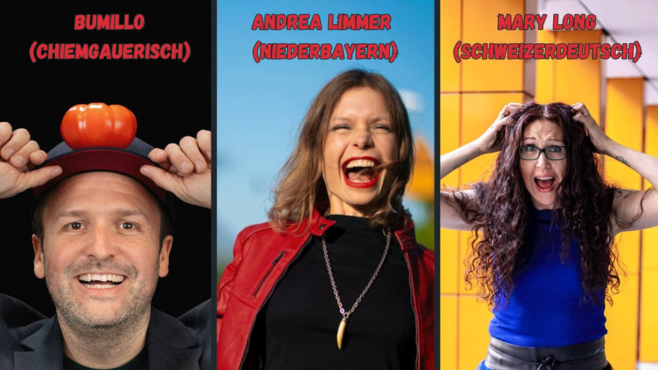Dreigeteiltes Plakat mit den Aufschriften Bumillo Chiemgauerisch links Andrea Limmer Niederbayern in der Mitte und Mary Long Schweizerdeutsch rechts sowie Porträts der drei Künstlerinnen und Künstler