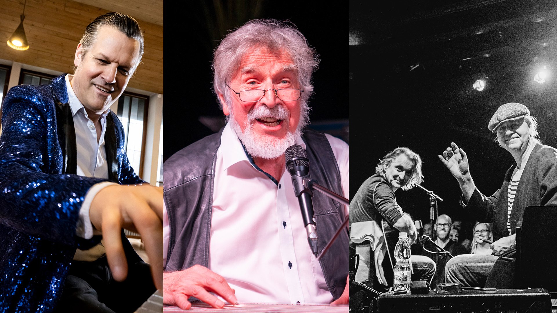 Collage aus drei Fotos verschiedener Musiker