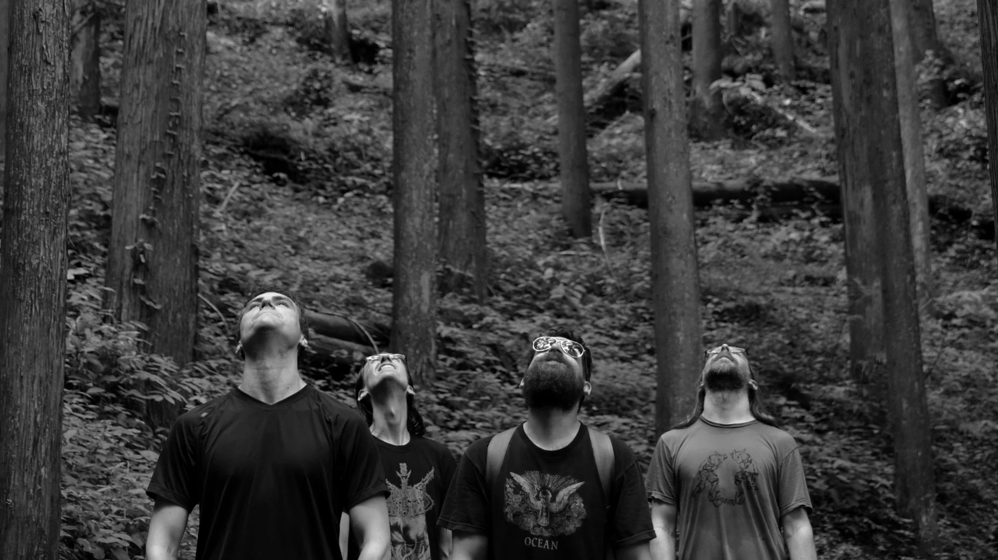 Bandfoto von Krallice in einem Wald in schwarz-weiß. Vier Bandmitglieder stehen zwischen hohen Bäumen und blicken mit nach oben gerichteten Köpfen in das Blätterdach