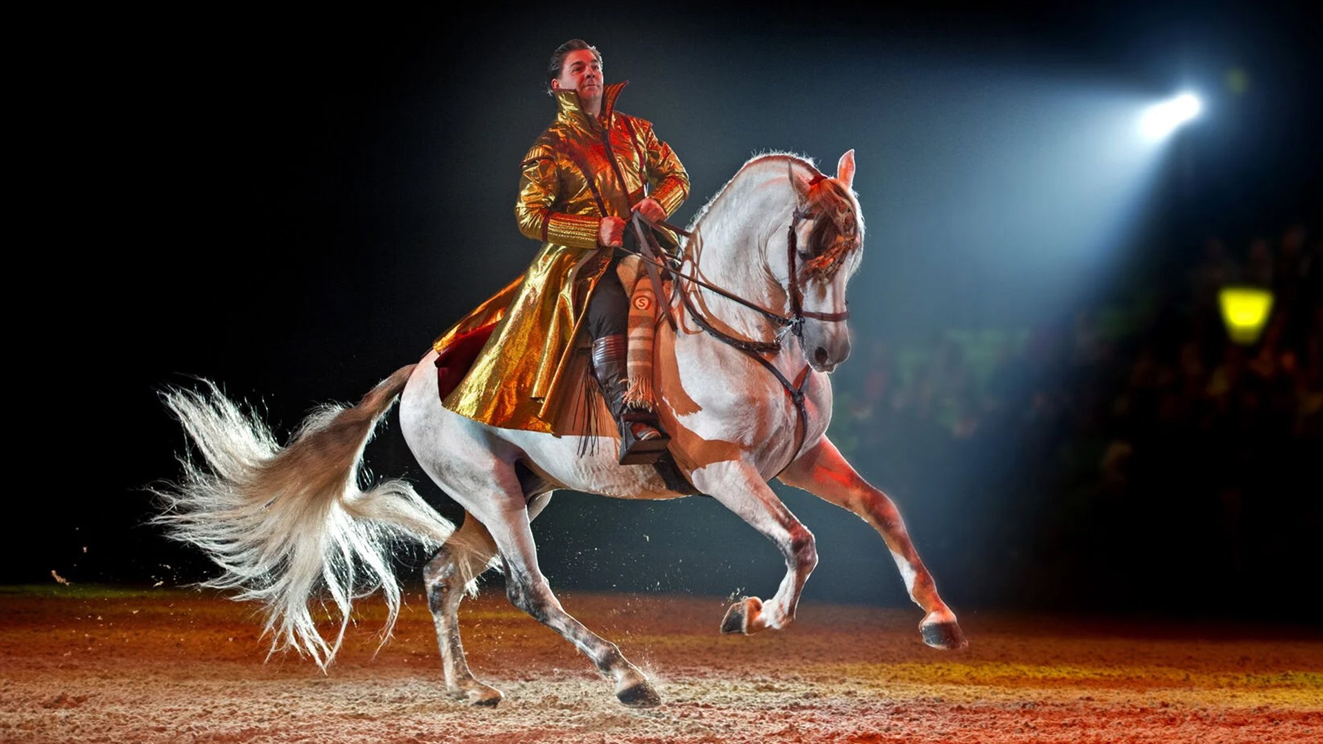 Reit-Show-Szene auf einer beleuchteten Arena-Bühne: Eine Person in auffälligem, golden glänzendem Kostüm reitet ein helles Pferd im Galopp, umgeben von Scheinwerfern und dunklem Zuschauerraum