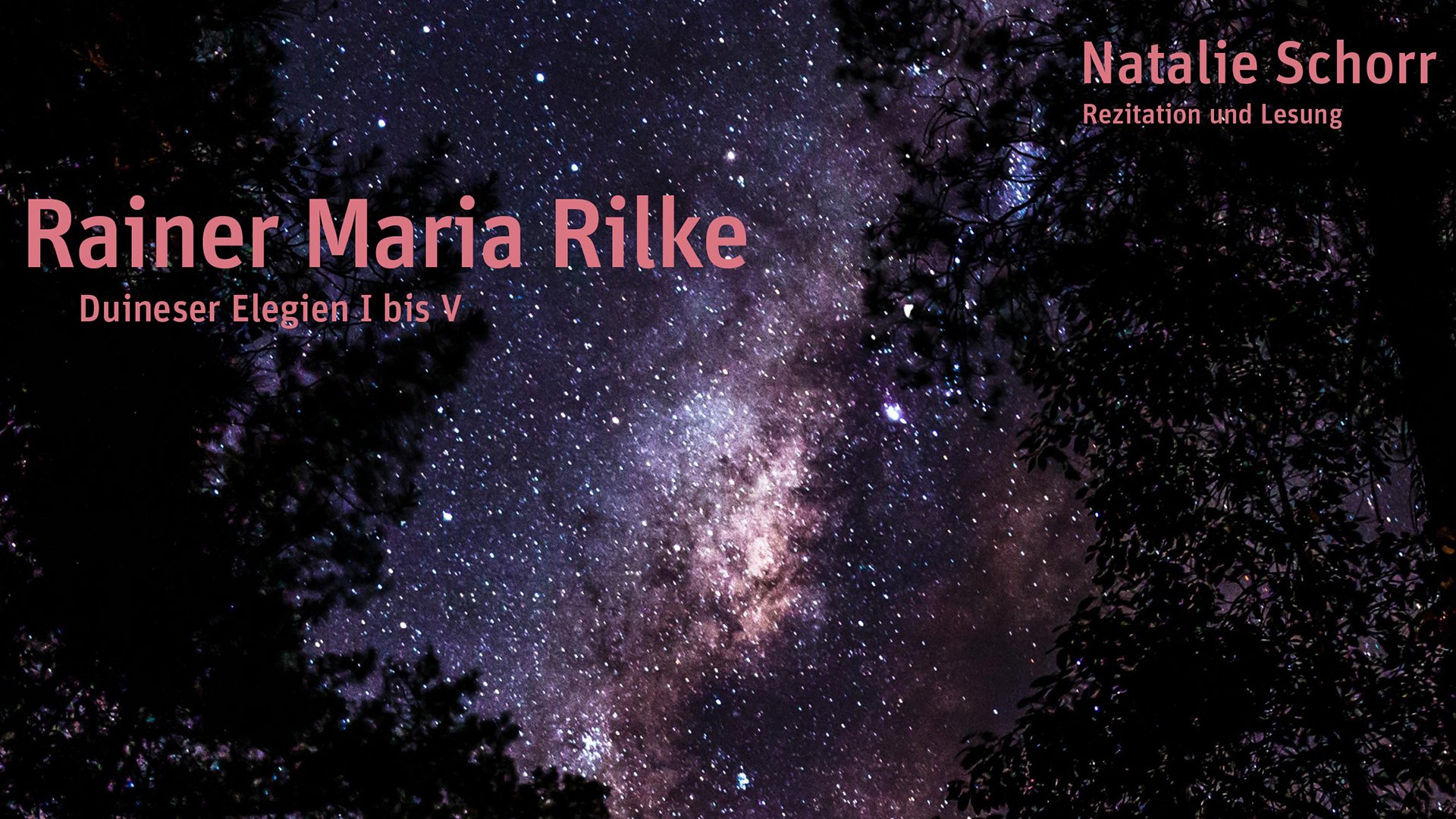 Bild einer Galaxie über Bäumen mit Aufschrift 