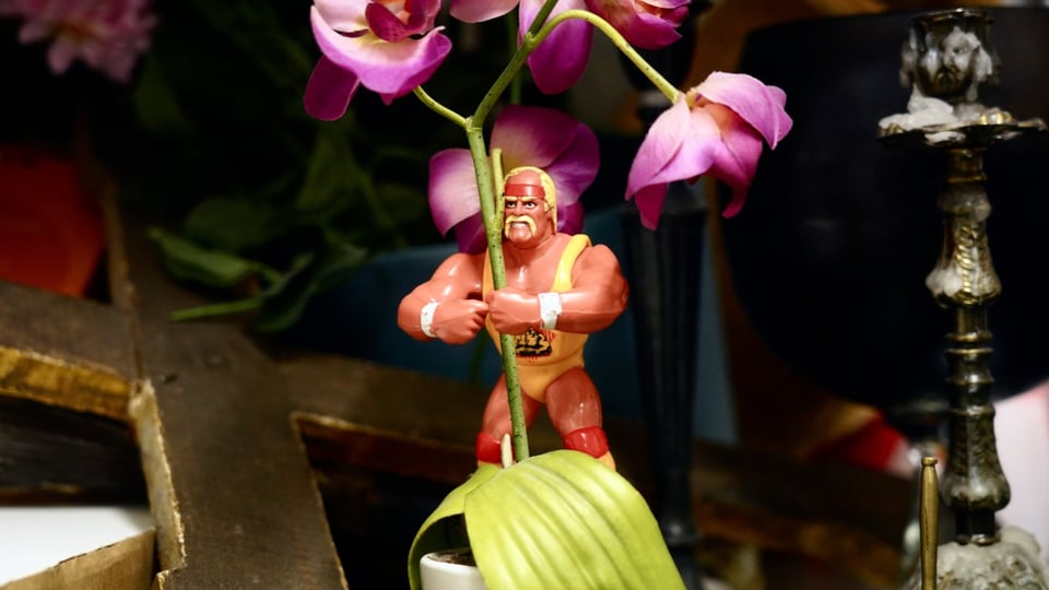 Kleine Actionfigur eines Wrestlers, die an einer Orchideenpflanze hängt, umgeben von dekorativen Gegenständen in einem Innenraum.