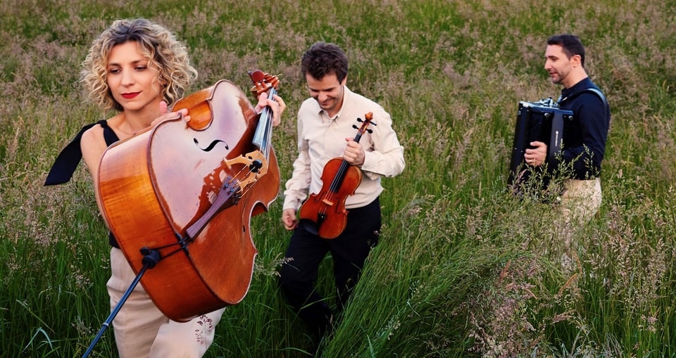 Foto der drei Künstler mit Instrumenten auf einer Wiese