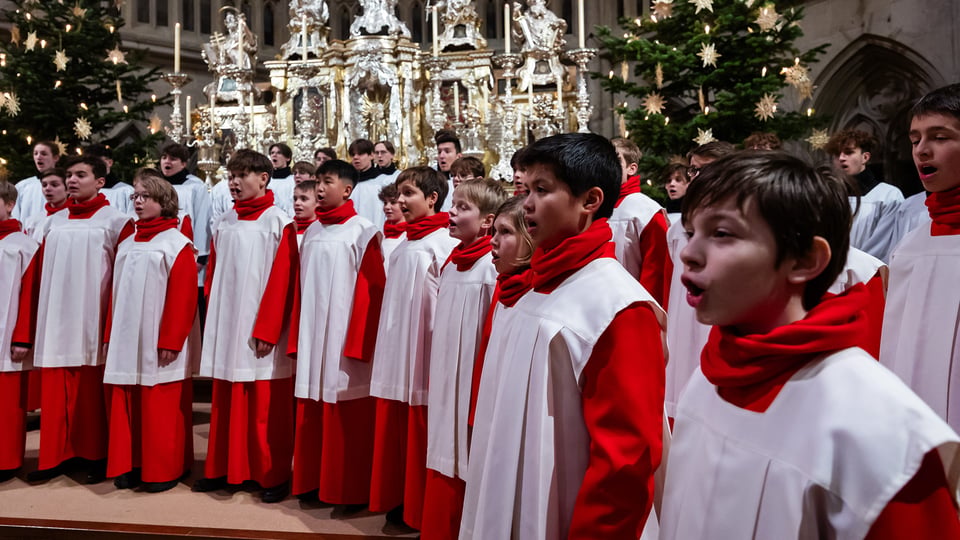 Bühnenfoto eines Knabenchors in roten und weißen Chorgewändern vor festlich geschmücktem Kirchenaltar mit Weihnachtsbäumen, Kerzen und goldfarbenem Altarschmuck im Hintergrund