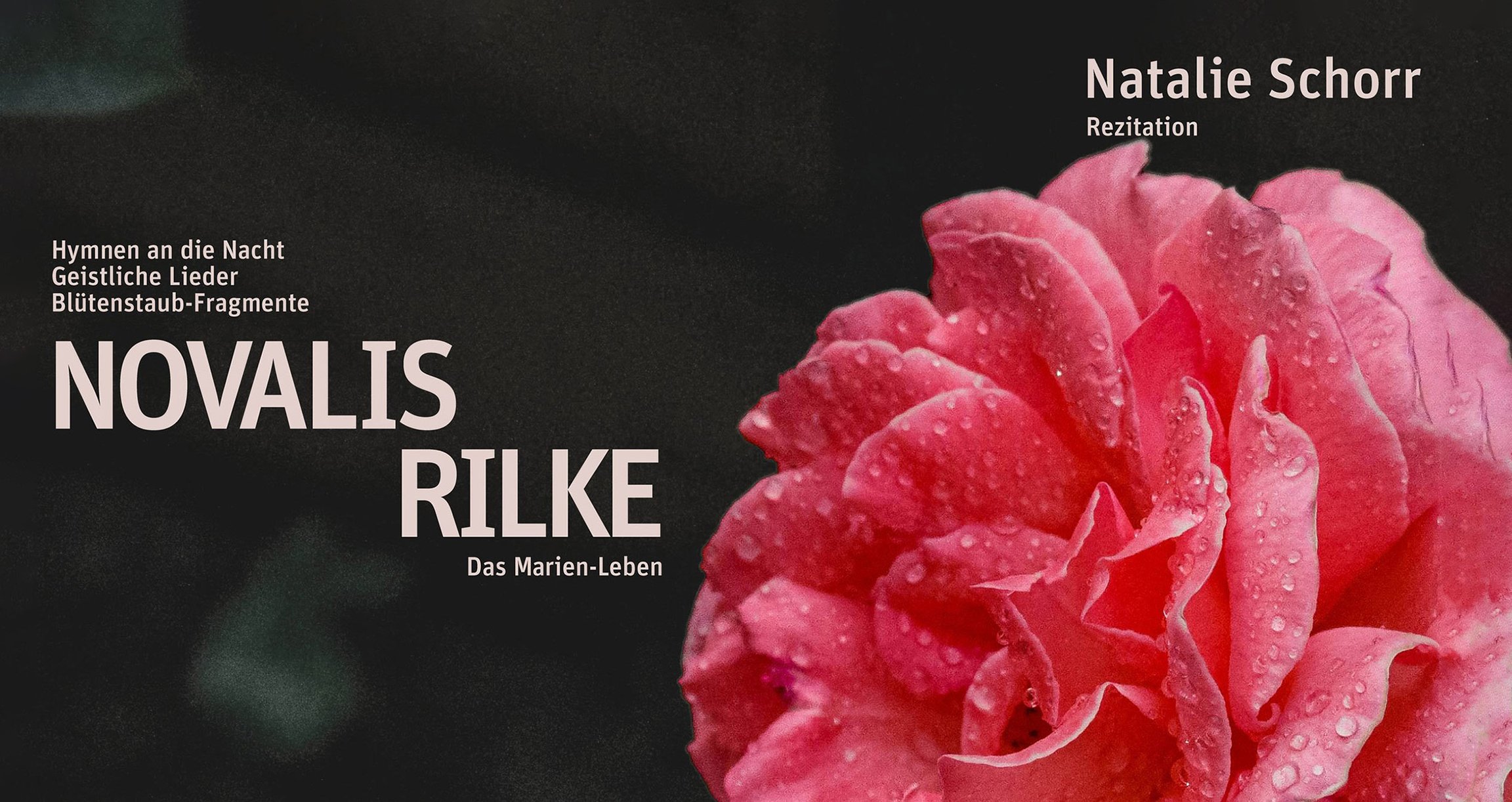 Bild mit roter Rose und heller Aufschrift nmit Ankündigung vor dunklem Hintergrund
