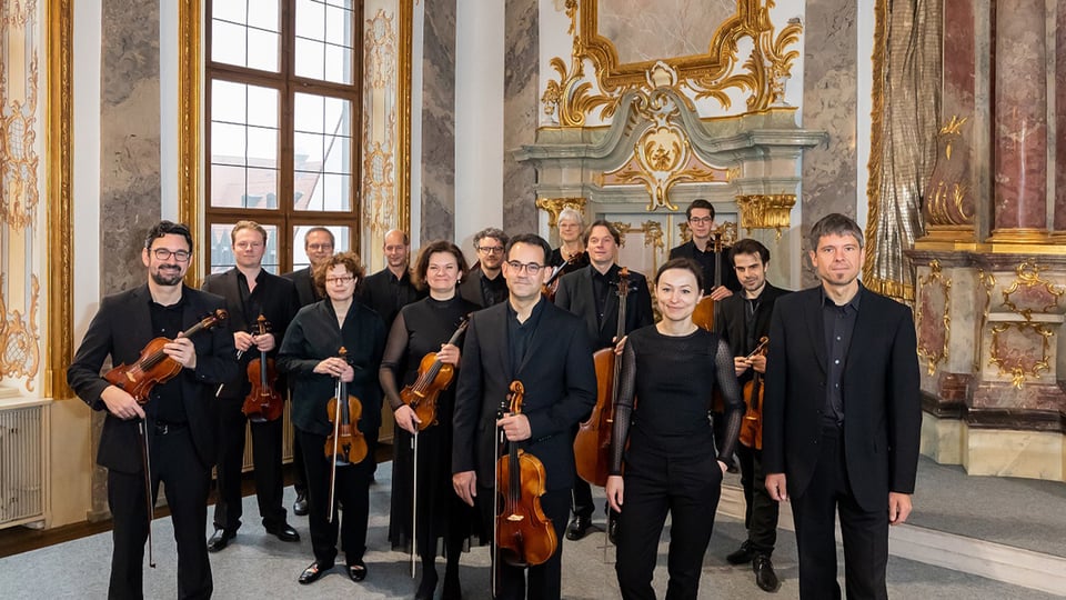 Kammerorchester mit mehreren Musikerinnen und Musikern in schwarzer Konzertkleidung, die Streichinstrumente halten, posiert in einem historischen, reich verzierten Saal mit großen Fenstern und goldenen Ornamenten.