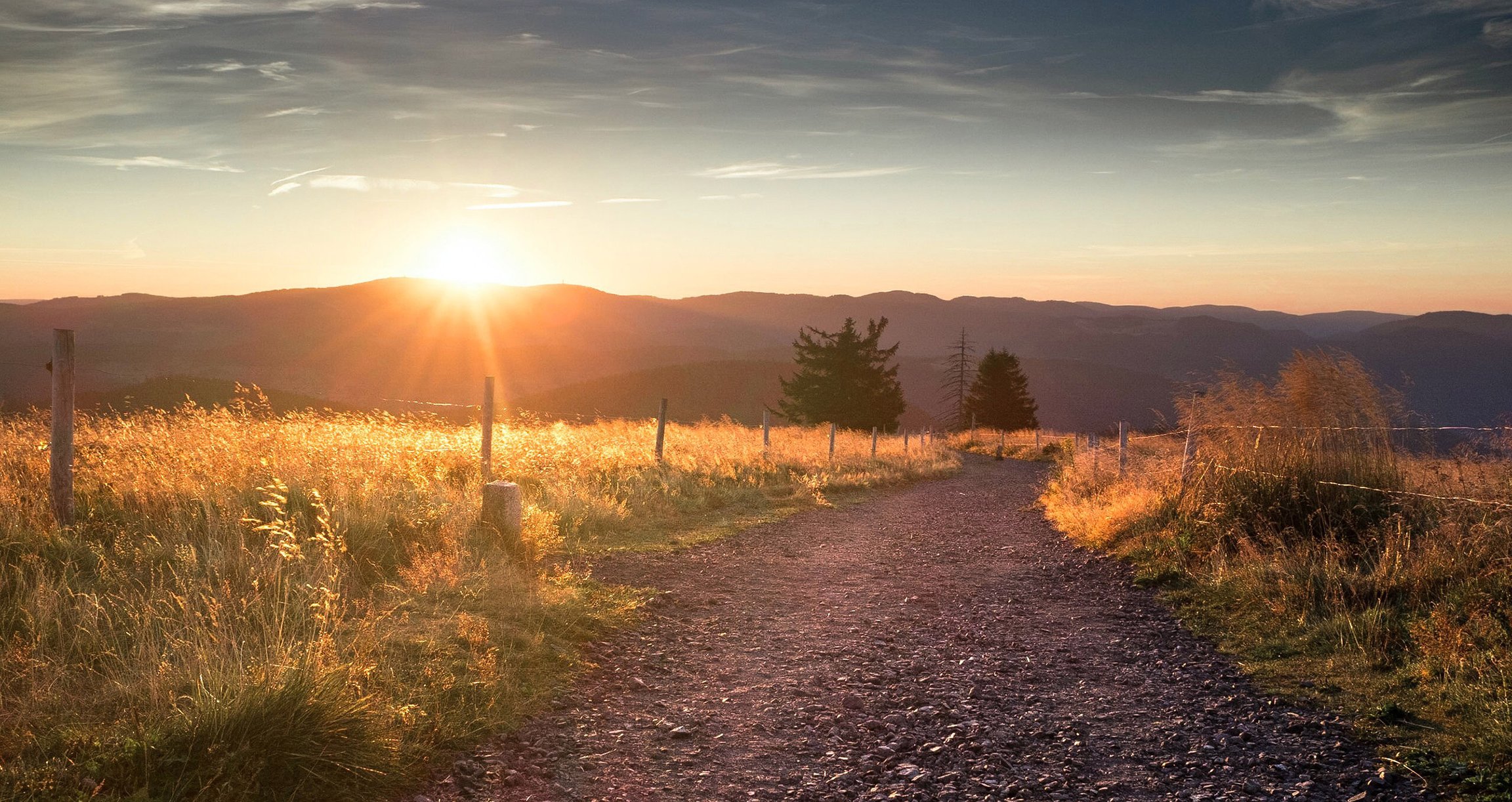 Landschaftsbild mit Feldweg und Abendsonne mit Bergen