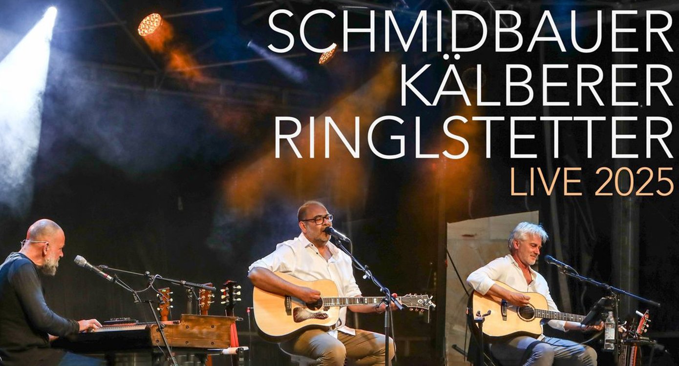 die drei Künstler auf der Bühne mit Instrumenten und Mikrofon
