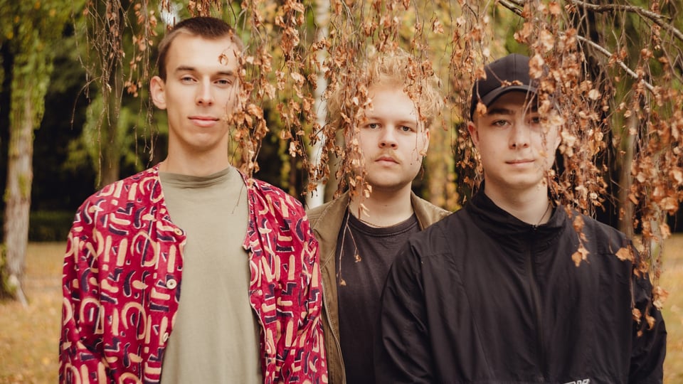 Foto für die Veranstaltung des Vincent Meissner Trios mit den drei Künstlern und einigen Blättern eines Baumes