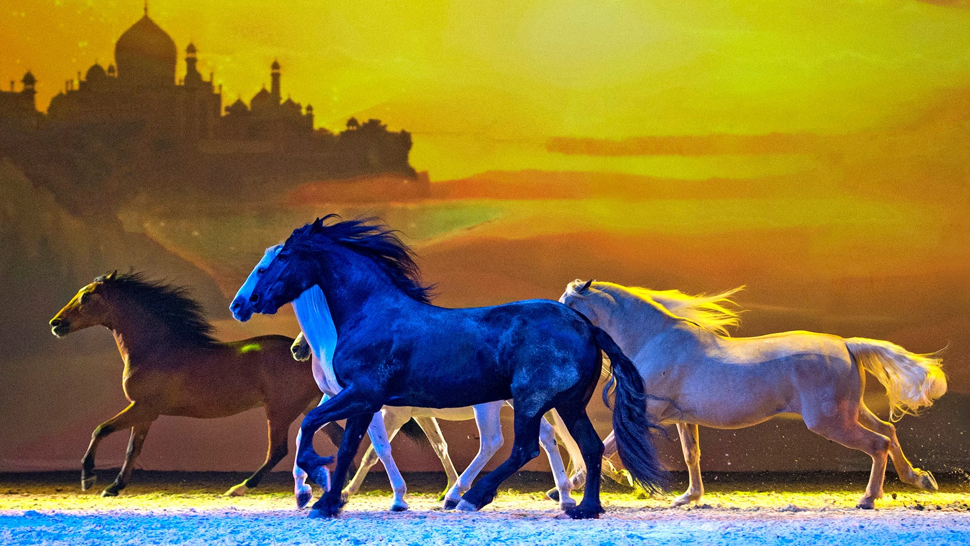 Mehrere Pferde galoppieren über eine beleuchtete Bühne vor warmem, farbigem Hintergrund mit Palast-Silhouette