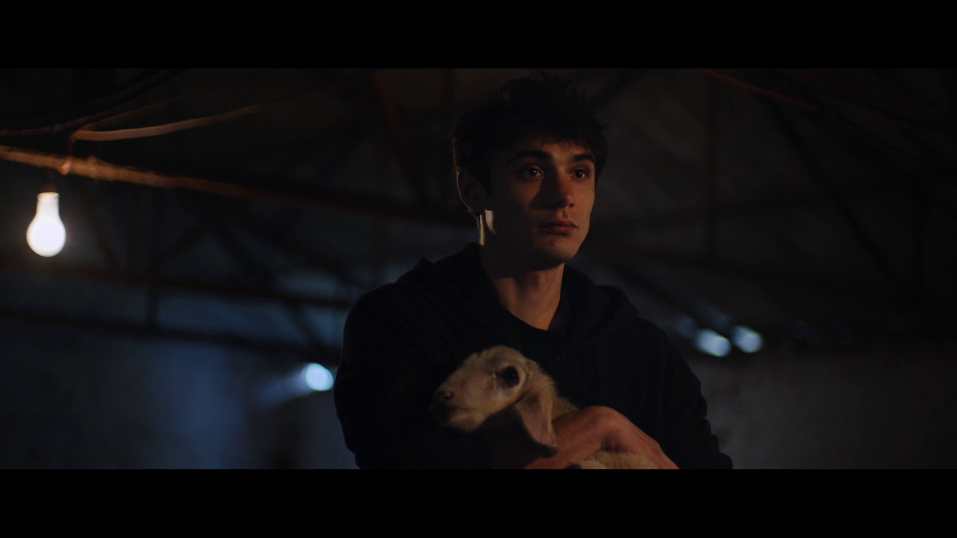 Ein Foto für das Event „MEAT“ bei der Griechischen Filmwoche München: Ein Junge hält ein Tier in seinen Armen.