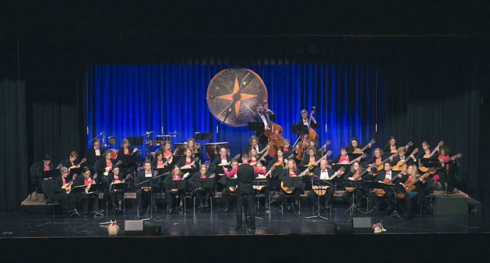 Foto des Orchesters mit blauem Vorhang im Hintergrund