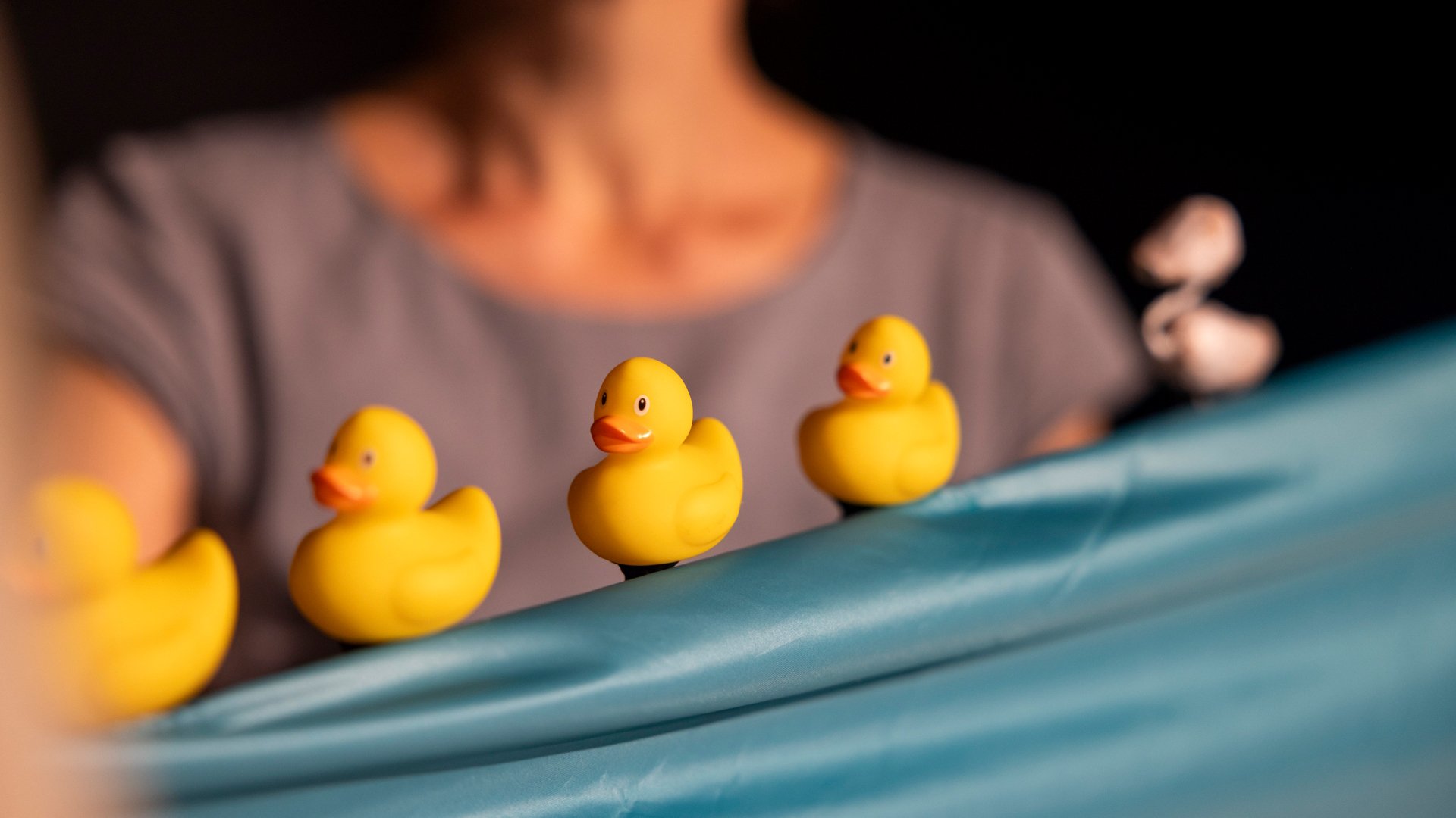 Foto für die Veranstaltung von Eva Sotriffer – Schwanen mit einigen Enten und im Hintergrund die verschwommene Silhouette einer Frau