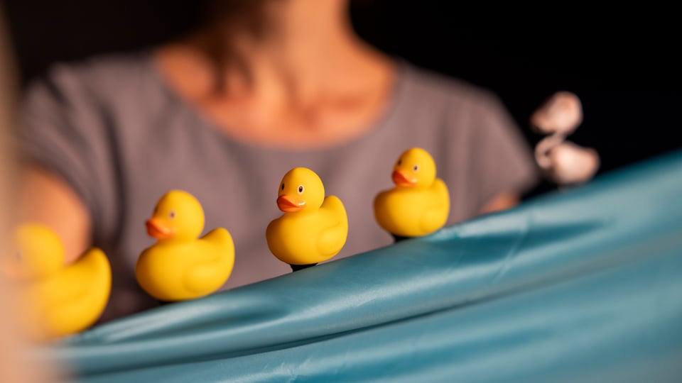 Foto für die Veranstaltung von Eva Sotriffer – Schwanen mit einigen Enten und im Hintergrund die verschwommene Silhouette einer Frau