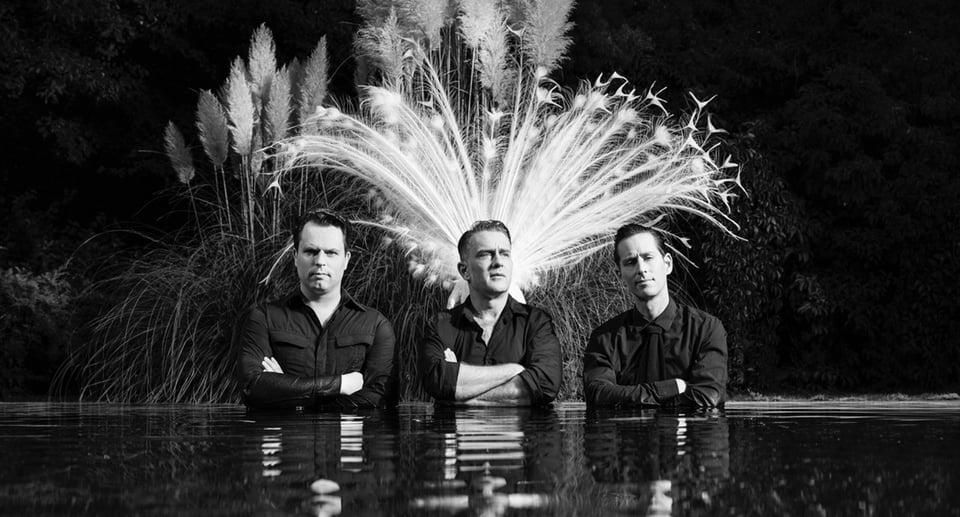 ein Schwarz-Weiß-Foto der Gruppe „THE PEACOCKS“, drei Männer im Wasser