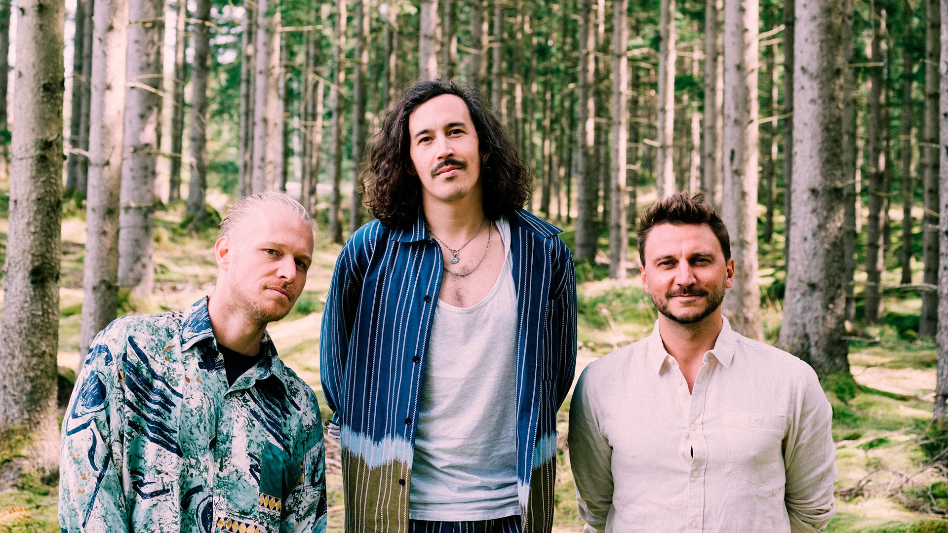 Drei Personen bei Tag in einem Wald