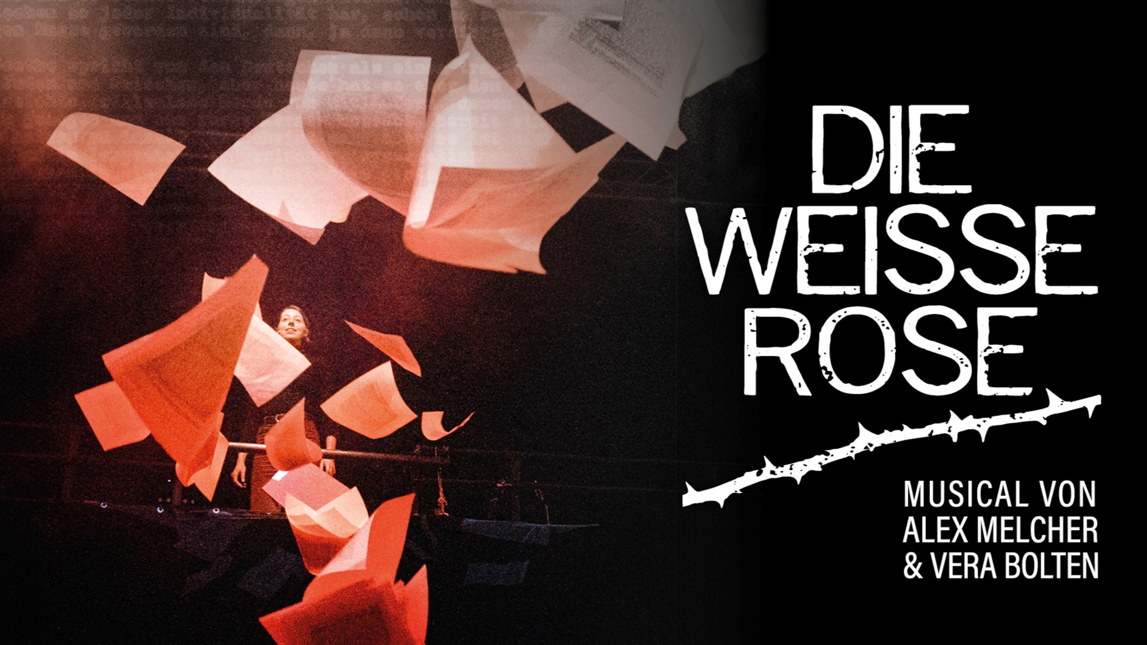 Die Weiße Rose - Schulvorstellung