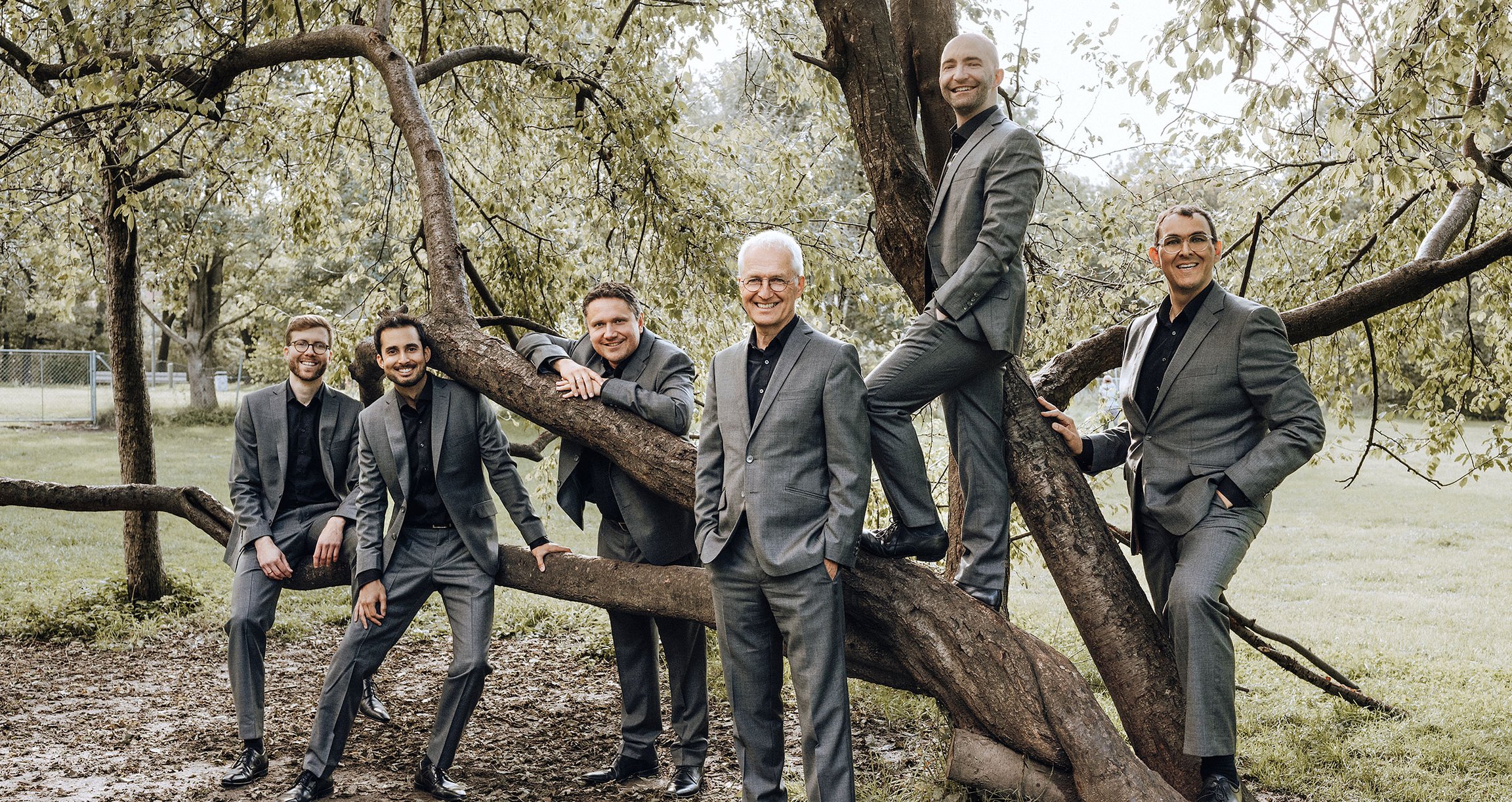 Foto der Gruppe, alle in einer grauen Anzugsjacke, in einem Baum