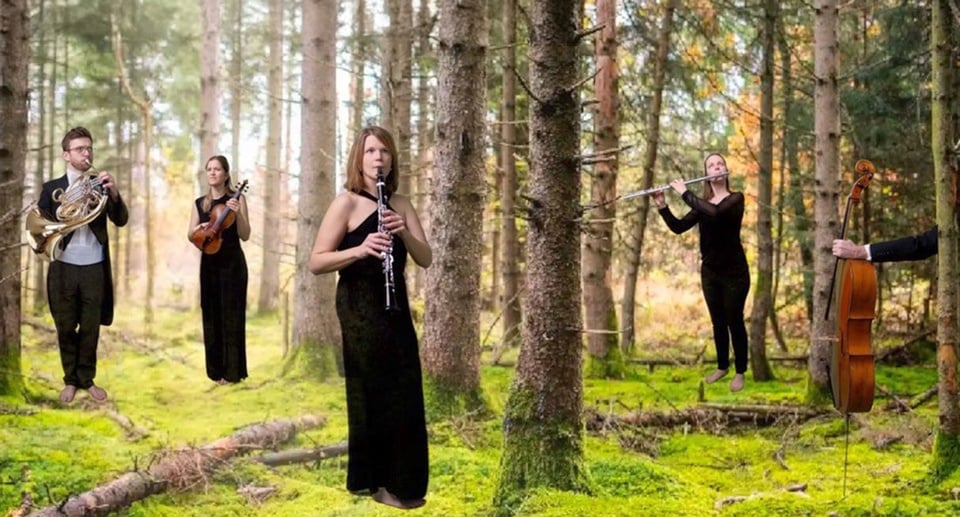 Foto von einigen Musikern mit Instrumenten in einem Wald
