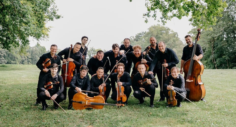 Orchester, dunkel gekleidet mit Streichinstrumenten auf Grünfläche
