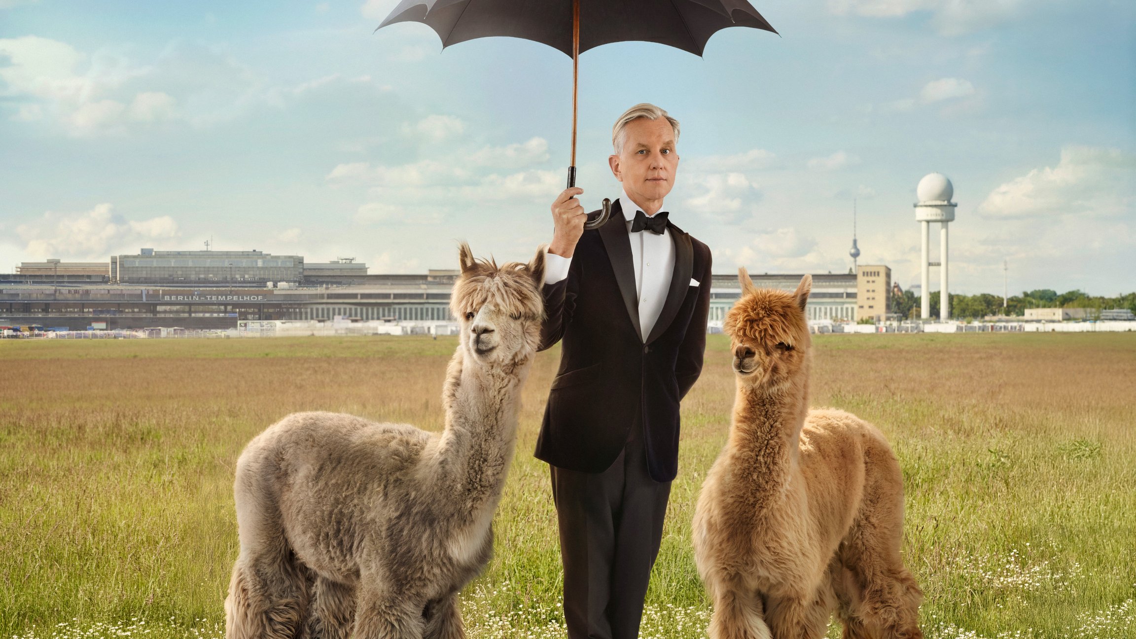 Max Raabe in schwarzem Anzug hält einen schwarzen Regenschirm, flankiert von zwei Alpakas auf einer Wiese der Landebahn des ehemaligen Berliner Flughafens Tempelhof