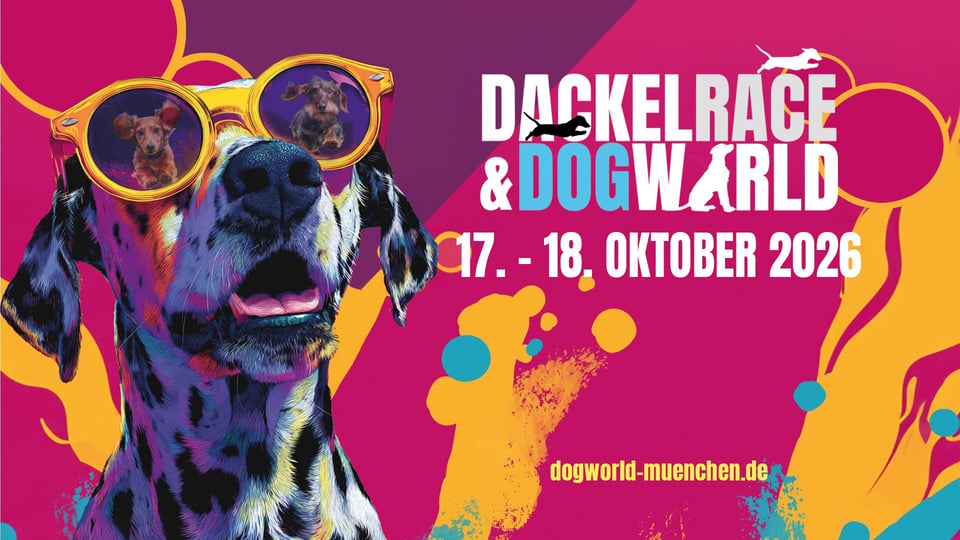 Buntes Eventplakat mit Dalmatiner mit Sonnenbrille und Text ‚Dackel Race & Dog World, 17.–18. Oktober 2026