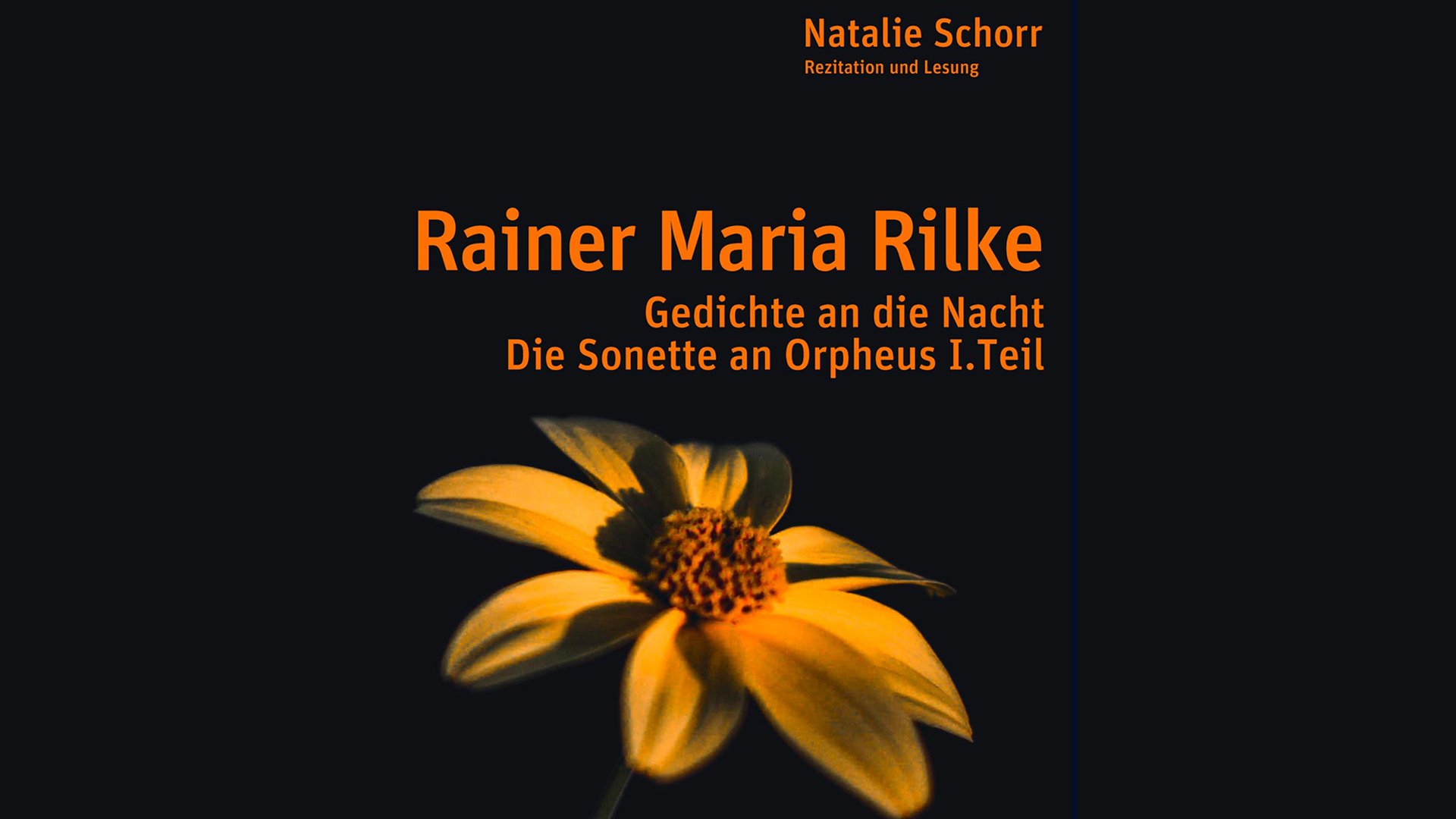 Schwarzes Plakat mit gelber Blume und orangefarbener Schrift: Rainer Maria Rilke – Gedichte an die Nacht, Die Sonette an Orpheus I. Teil,  oben Natalie Schorr – Rezitation und Lesung