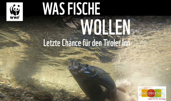 Was Fische wollen, 02.05.2022 © München Ticket GmbH